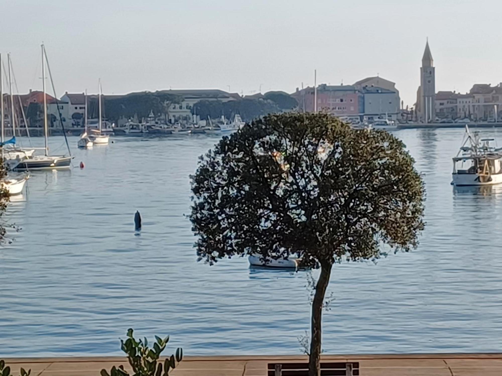 Splendid Ap Promenade 2 Pers Apartment Umag