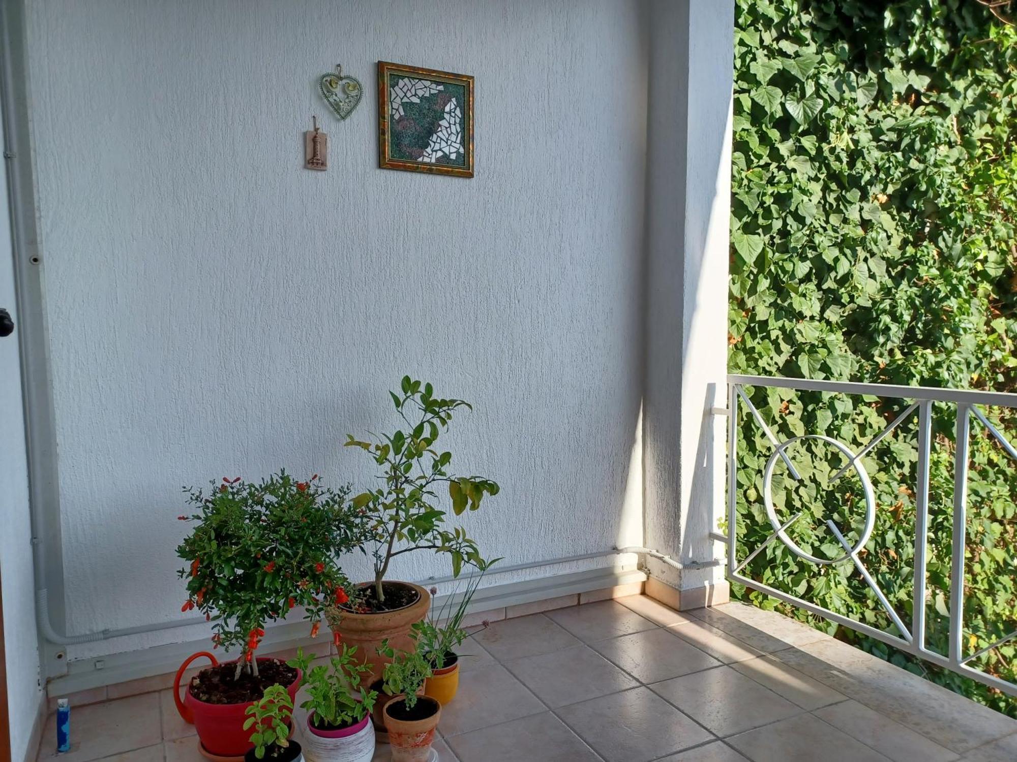 Splendid Ap Promenade 2 Pers Umag